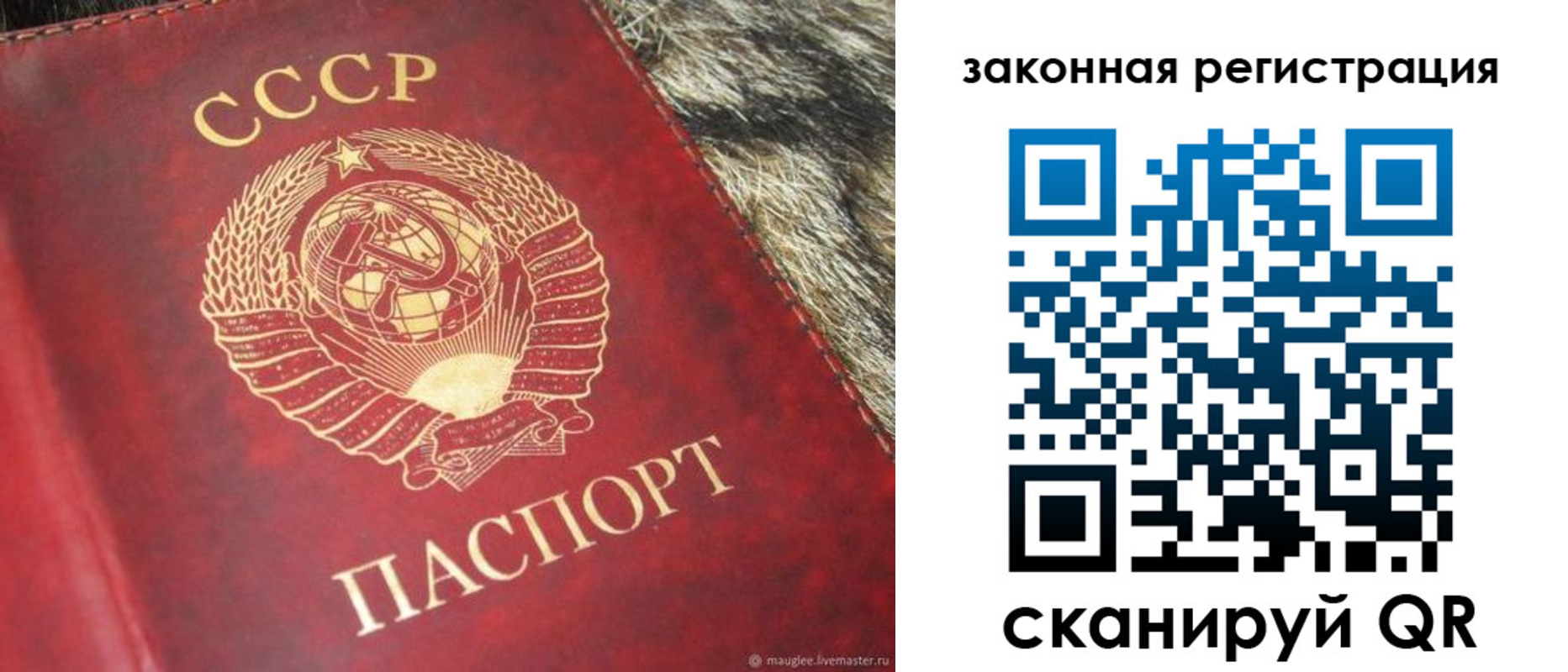 прописка от собственника в Котельниче